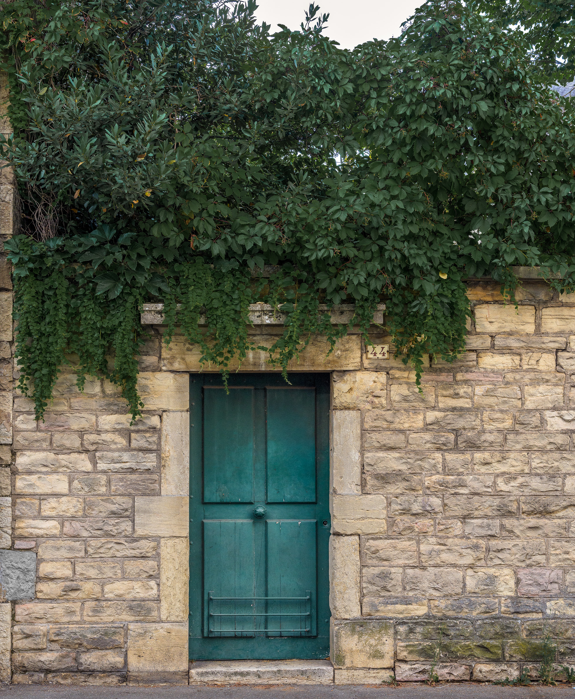 Green Door, Laurel and Ivy
