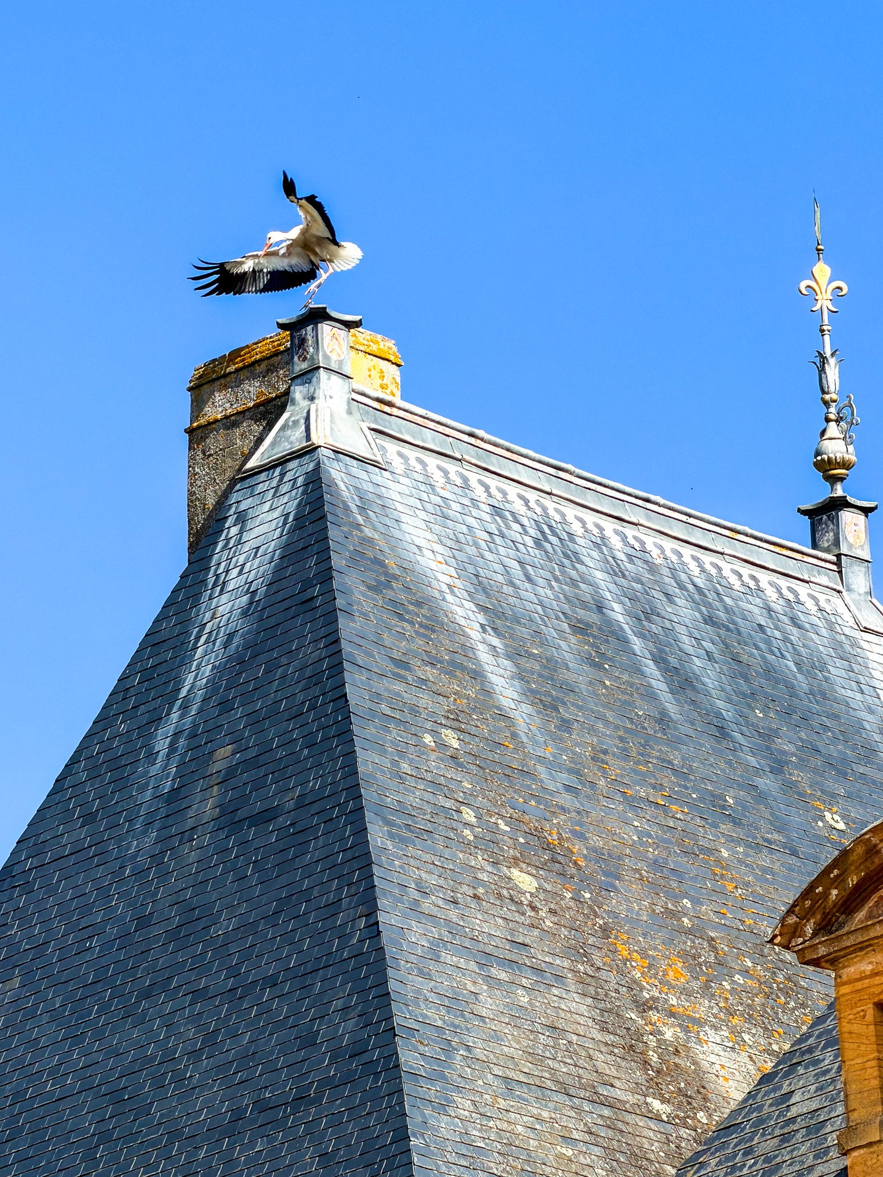 Crane on Chimney
